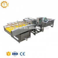 vegetable washer and vegetable washing machine with best price