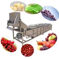 Affordable edamame cleaning machine Bubble surf spray washing machine Quick frozen vegetable processing cleaning production line