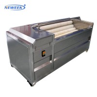 Neweek Industrial Fruit Washer Machine Carrot Washing Machine Brush