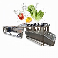 Factory Price Ozone Vegetable Cleaning Machine Vegetable And Fruit Washing Machine